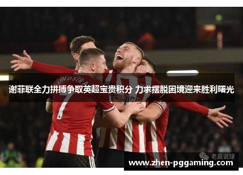 谢菲联全力拼搏争取英超宝贵积分 力求摆脱困境迎来胜利曙光