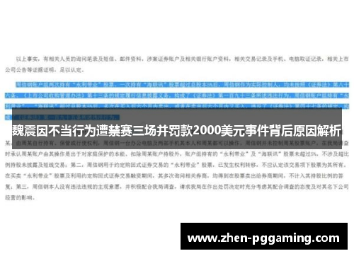魏震因不当行为遭禁赛三场并罚款2000美元事件背后原因解析