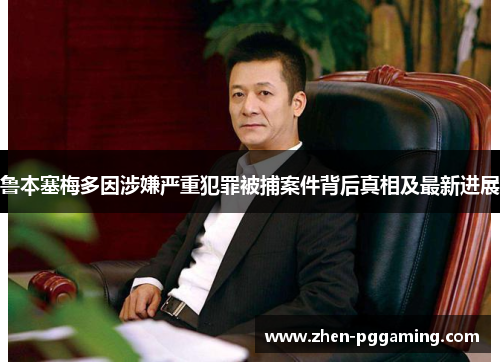 鲁本塞梅多因涉嫌严重犯罪被捕案件背后真相及最新进展